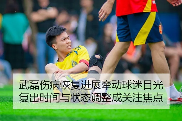 武磊伤病恢复进展牵动球迷目光 复出时间与状态调整成关注焦点